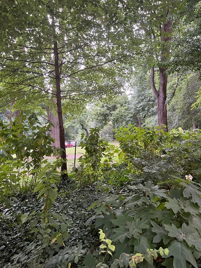 W 92 St / Riverside Drive - Photo 19