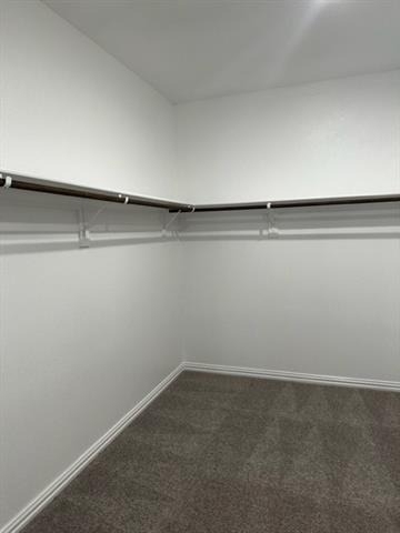 427 Alpha - Photo 25