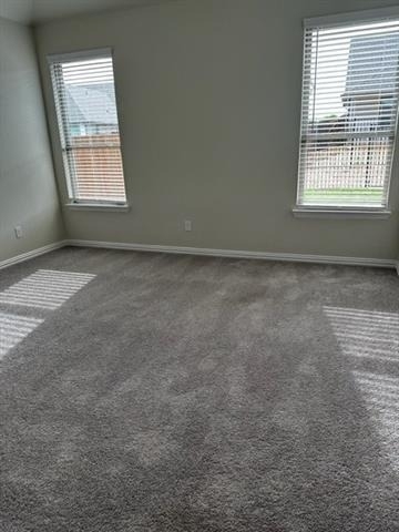 427 Alpha - Photo 22