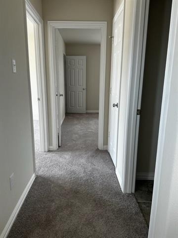 427 Alpha - Photo 14