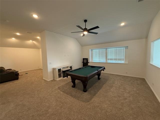 3113 Blazing Star Road - Photo 24