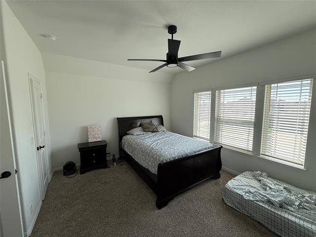 3113 Blazing Star Road - Photo 30