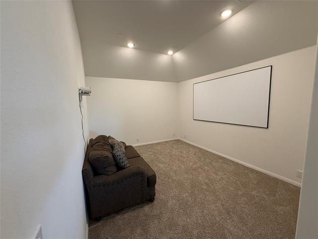 3113 Blazing Star Road - Photo 29