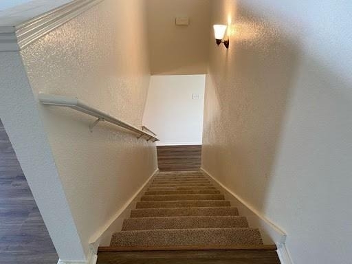 1101 Mustang Ridge Drive - Photo 14