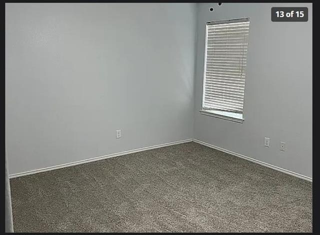 1417 Nicholas Lane - Photo 12