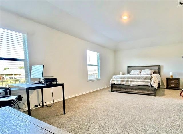 16628 Hay Valley Drive - Photo 8