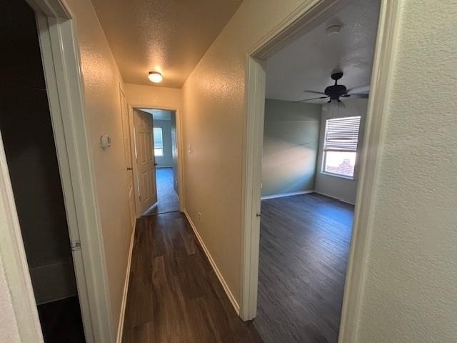 12713 Lost Prairie Drive - Photo 12