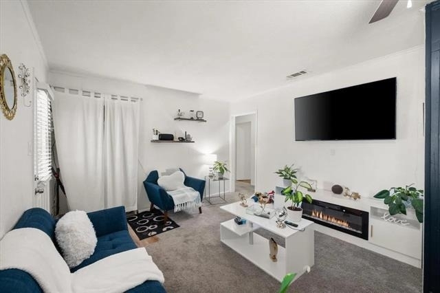 1704 Joyce Street - Photo 9