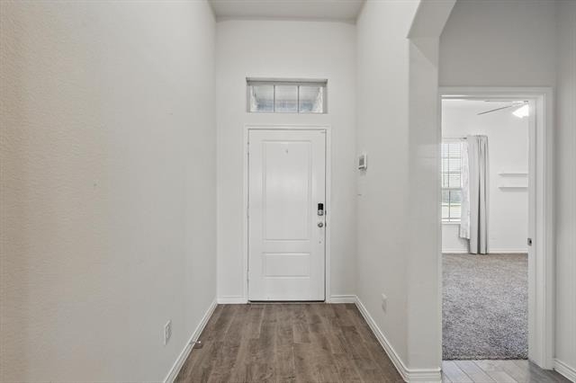 11112 Summer Rain Boulevard - Photo 5