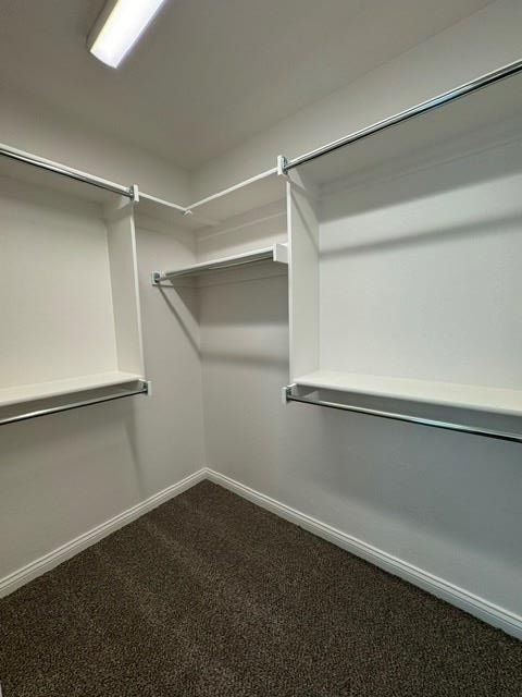 20091 Woodrock Street - Photo 17