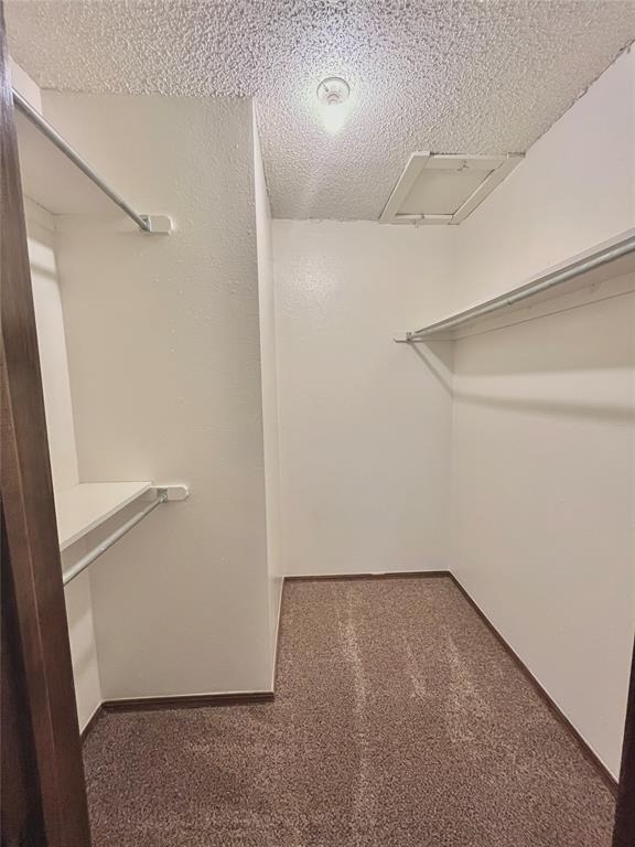 312 Falcon Court - Photo 12