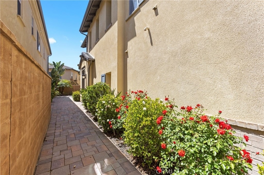 28277 Via Del Mar - Photo 3