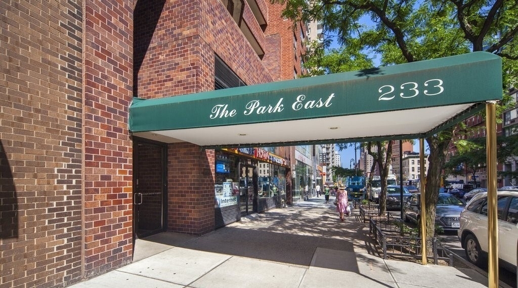 233 E 86th Street - Photo 12