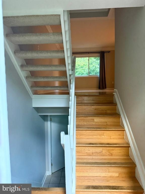 2916 Cantania Place - Photo 1