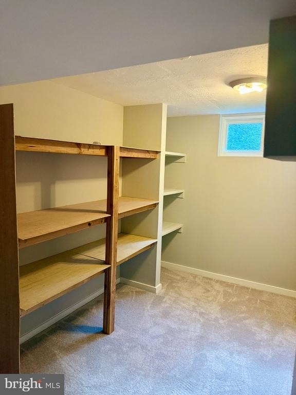 2916 Cantania Place - Photo 11