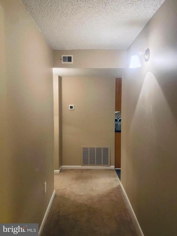 11723 Karbon Hill Court - Photo 8