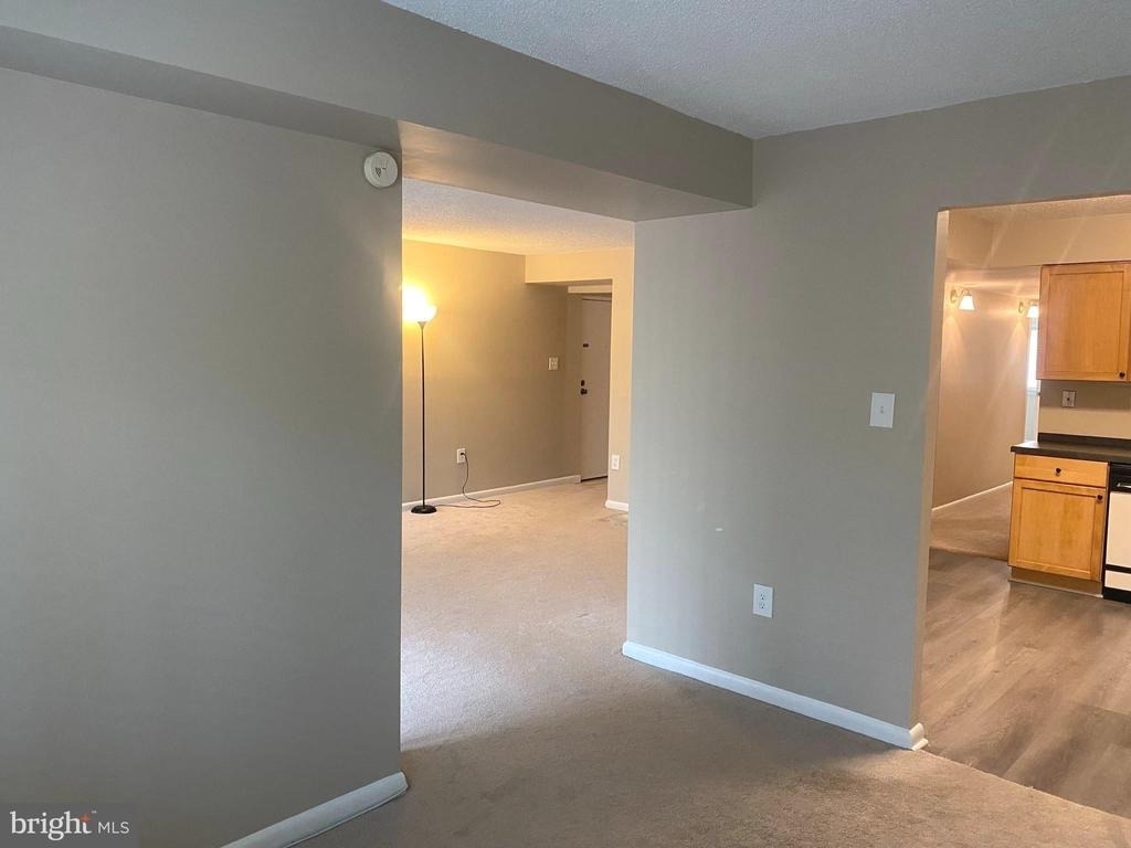 11723 Karbon Hill Court - Photo 16