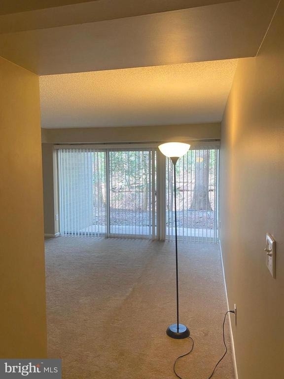 11723 Karbon Hill Court - Photo 9