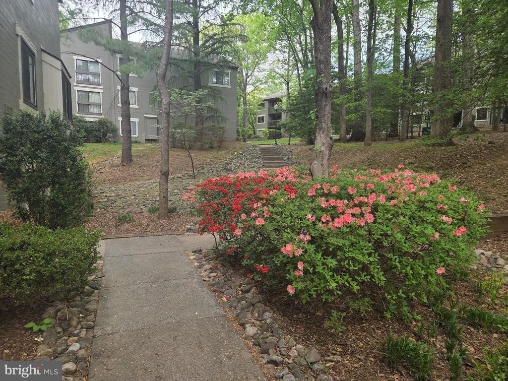 11723 Karbon Hill Court - Photo 58