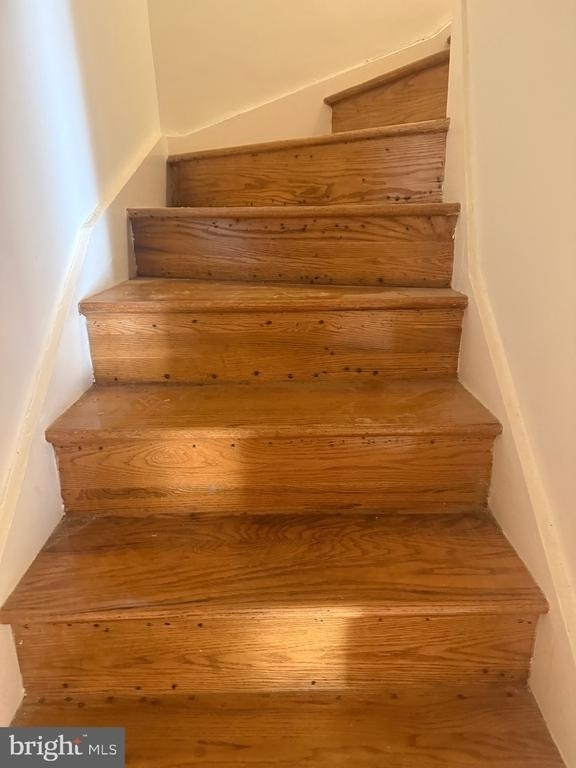 113 Montrose Avenue - Photo 13