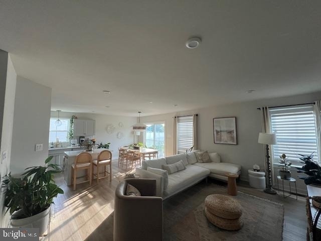 24607 Cathy Ann Street - Photo 7