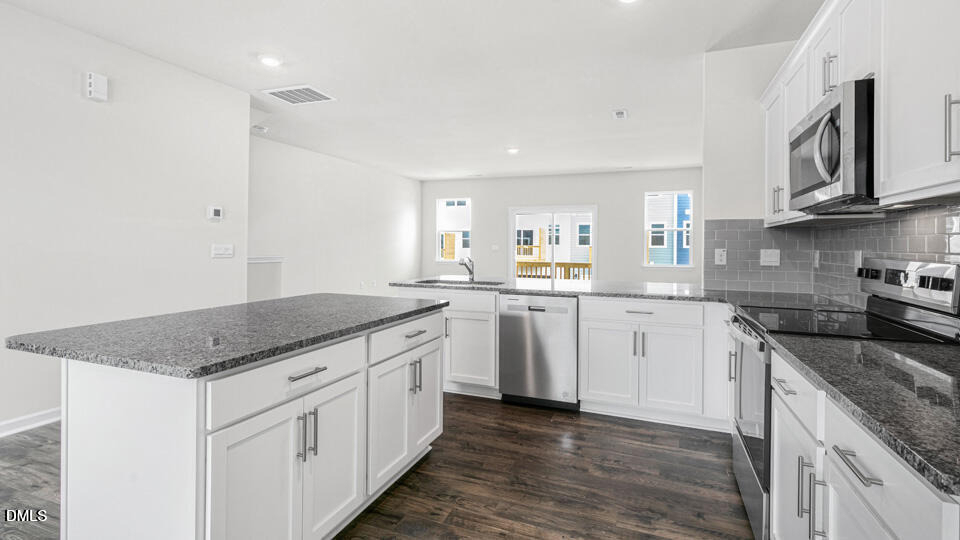 809 Lucky Clover Way - Photo 10