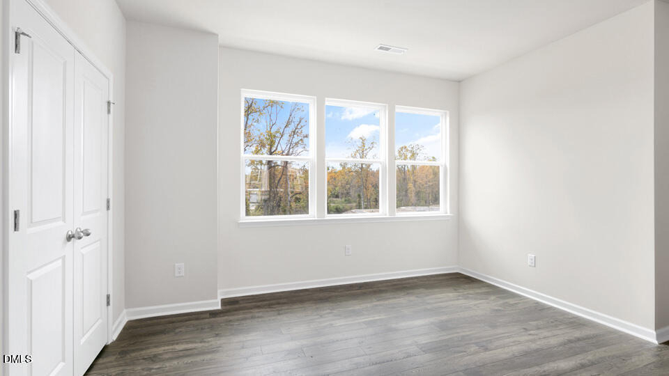 809 Lucky Clover Way - Photo 4