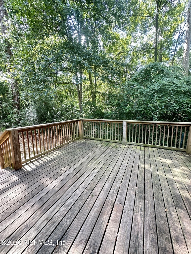 4790 Cinnamon Fern Drive - Photo 1
