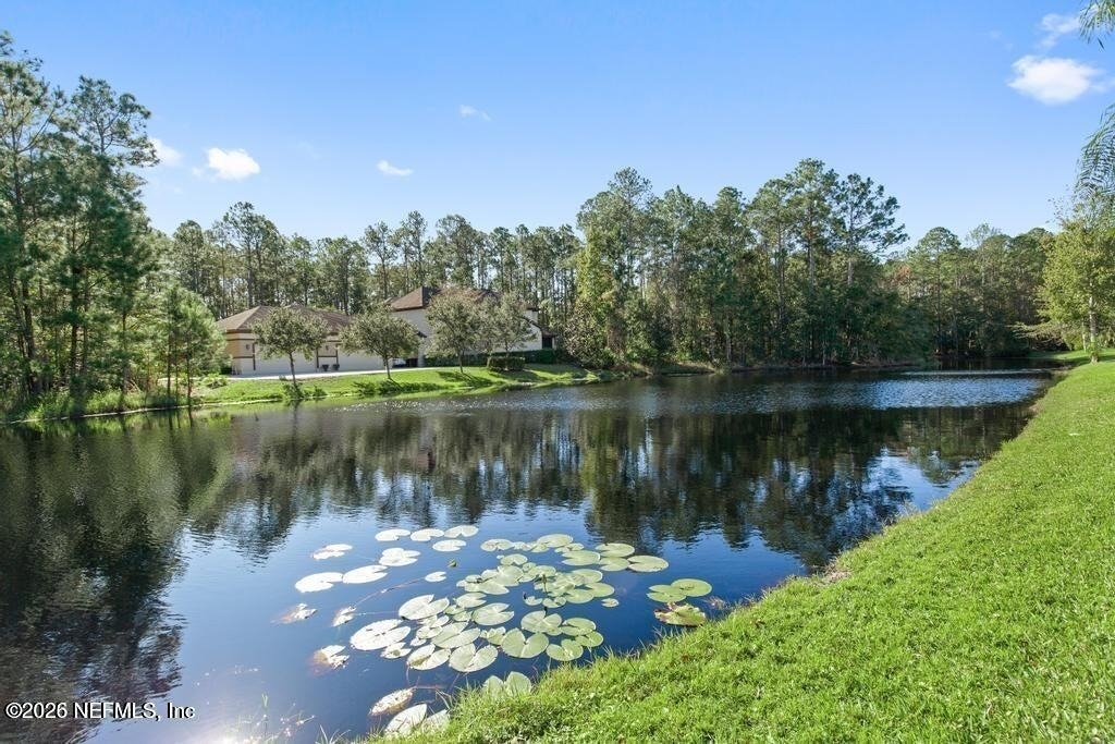 744 Dewdrop Loop - Photo 43
