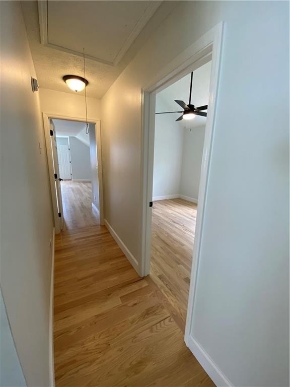 1855 Big Haynes Court - Photo 33