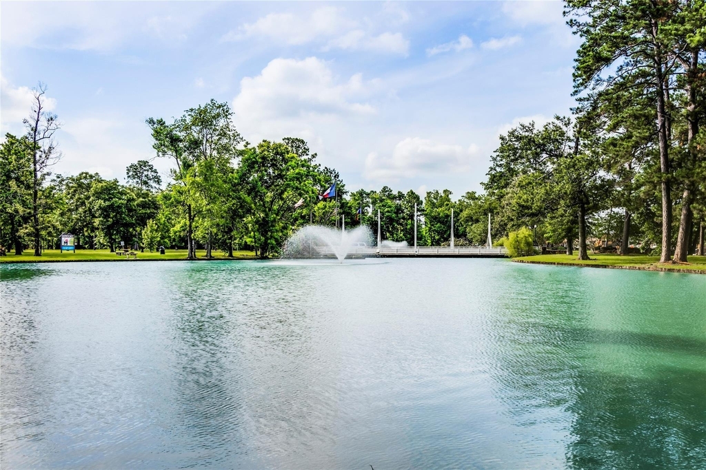 2019 Iris Hills Lane - Photo 32