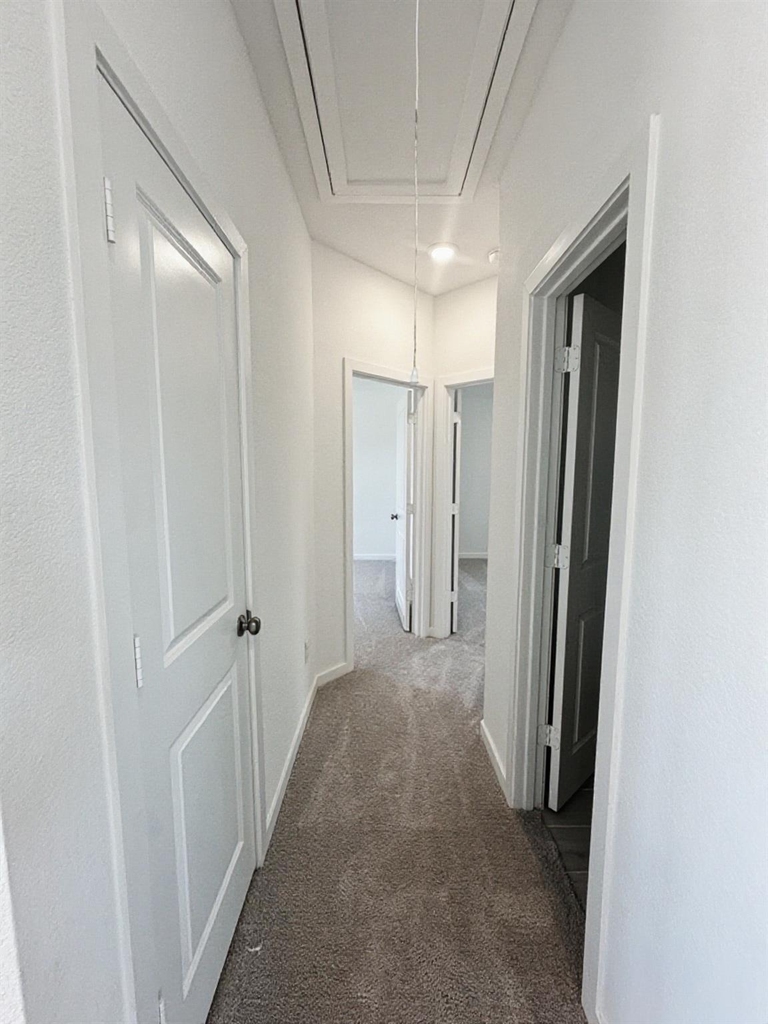 26915 Nightingale Songs Drive - Photo 26