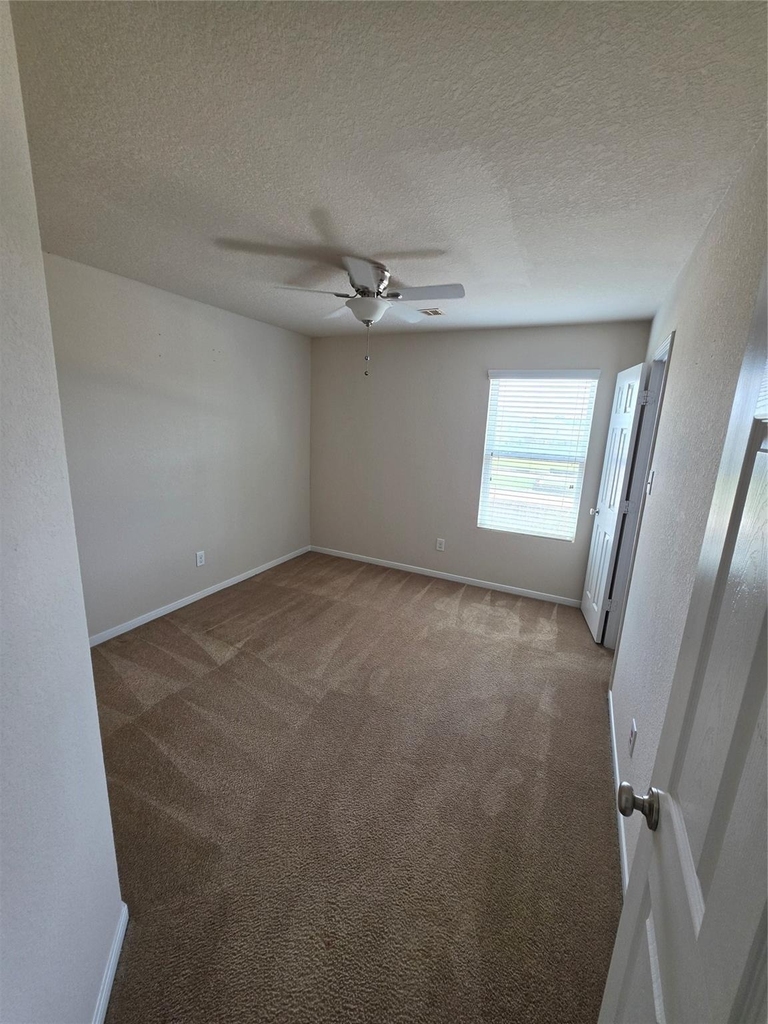 11507 Baldwin Spruce Trail - Photo 20