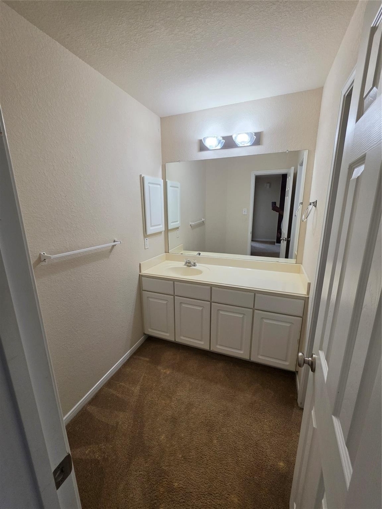 11507 Baldwin Spruce Trail - Photo 21