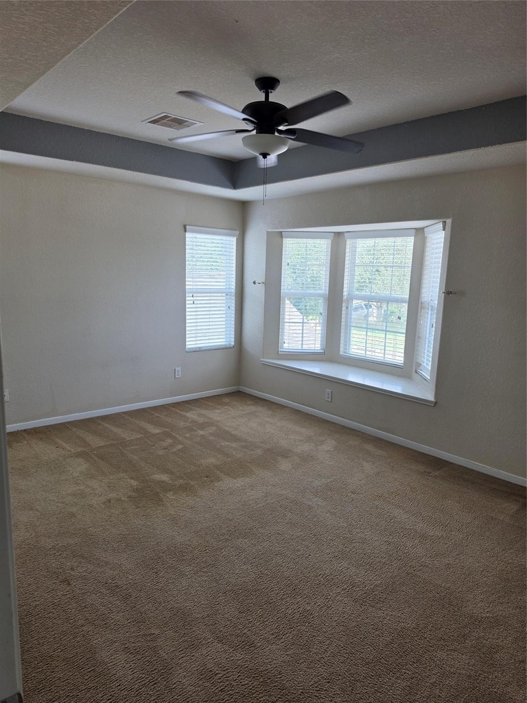 11507 Baldwin Spruce Trail - Photo 19