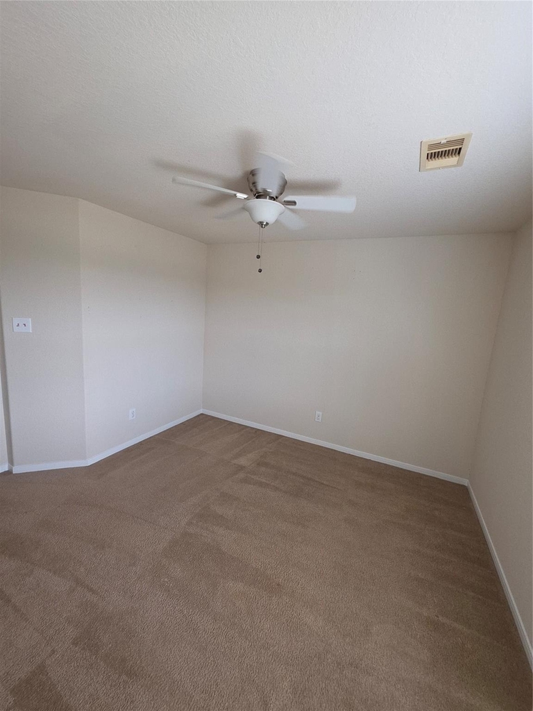 11507 Baldwin Spruce Trail - Photo 25