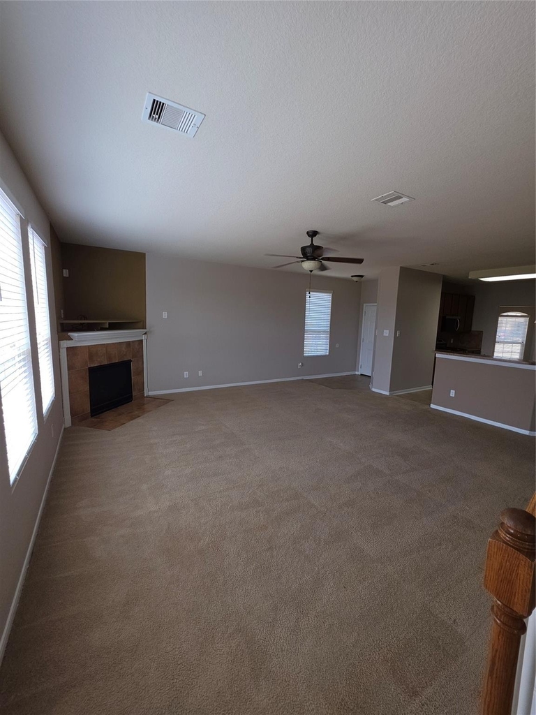 11507 Baldwin Spruce Trail - Photo 3