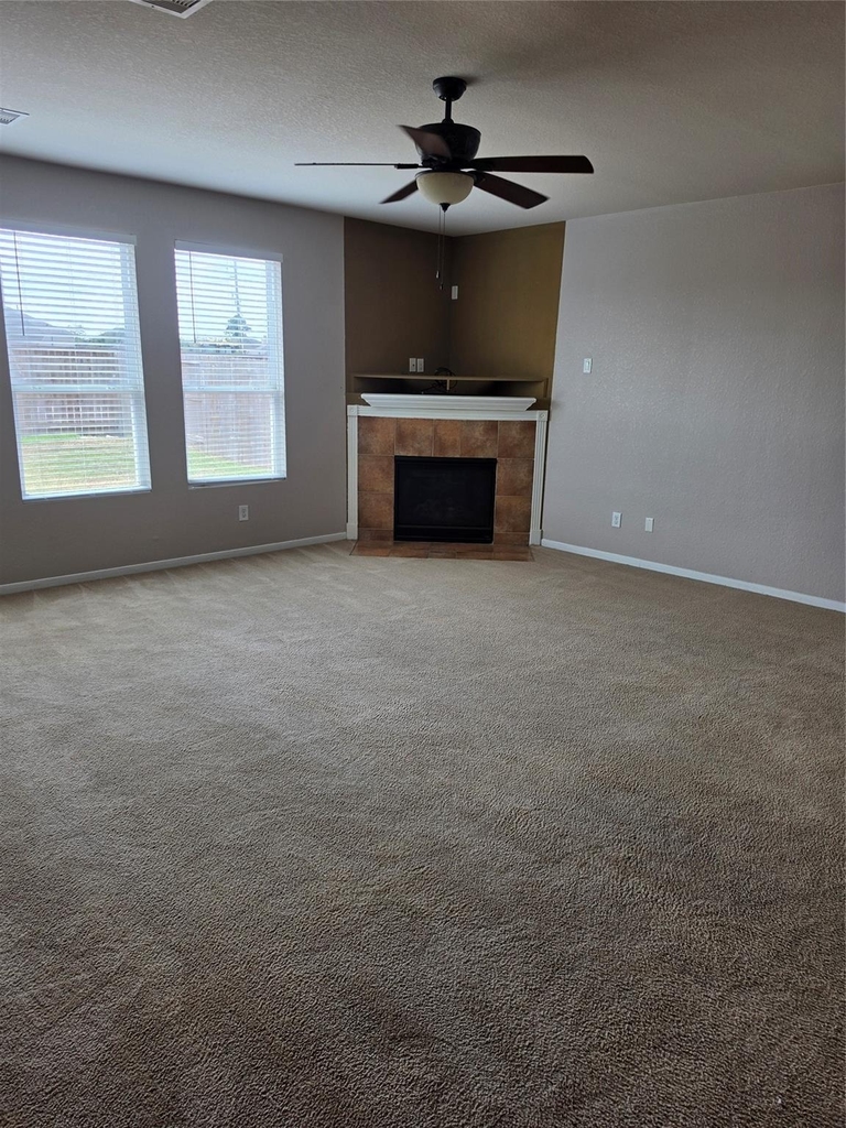 11507 Baldwin Spruce Trail - Photo 2