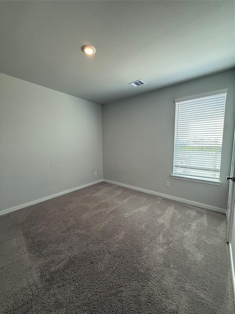 12519 Coastal Bend Way - Photo 25
