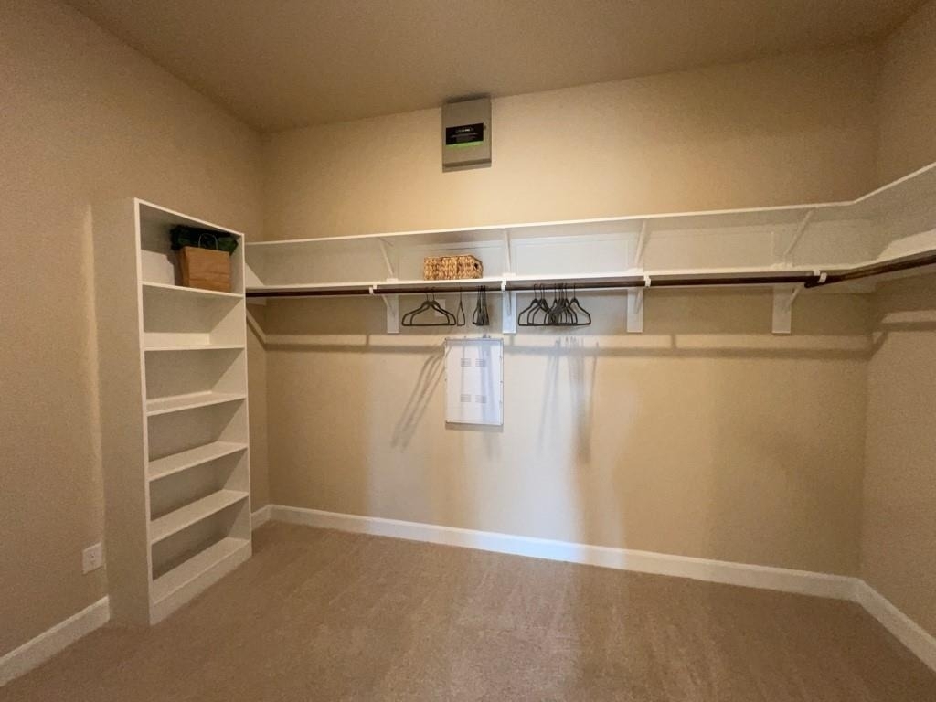 5602 Caracara Street - Photo 16