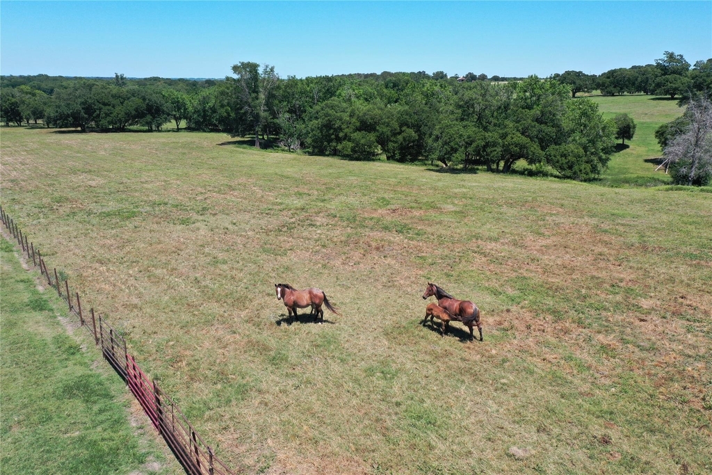 8616 Fm 2502 - Photo 2