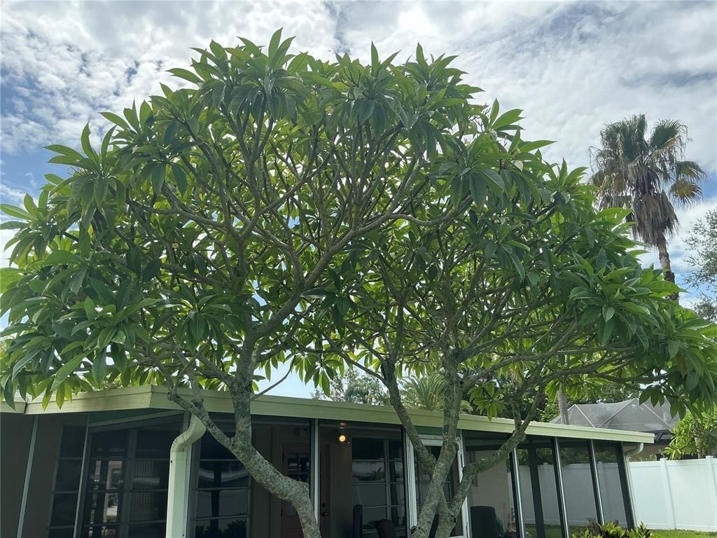 7360 111th Street - Photo 33