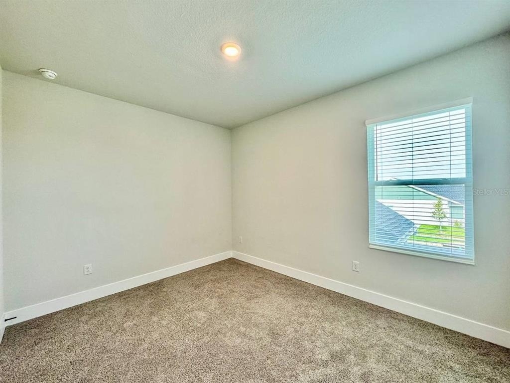 11393 Hardwood Hammock Lane - Photo 47