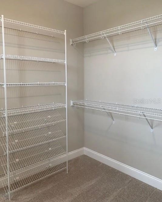 13075 Spring Grove Way - Photo 19