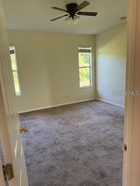 3321 Pawleys Loop N - Photo 7