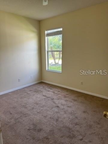 3321 Pawleys Loop N - Photo 4