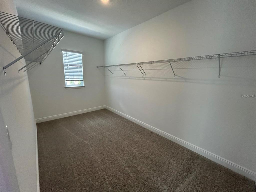 16902 Hamlin Oasis Loop - Photo 14