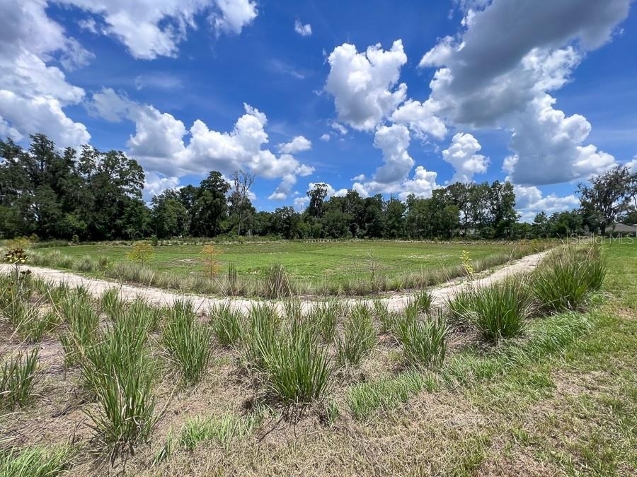 1315 Nw 132nd Circle - Photo 37