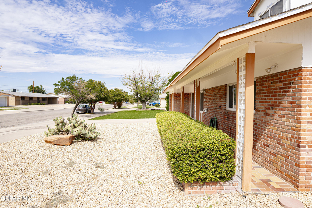 10125 Chezelle Drive - Photo 29
