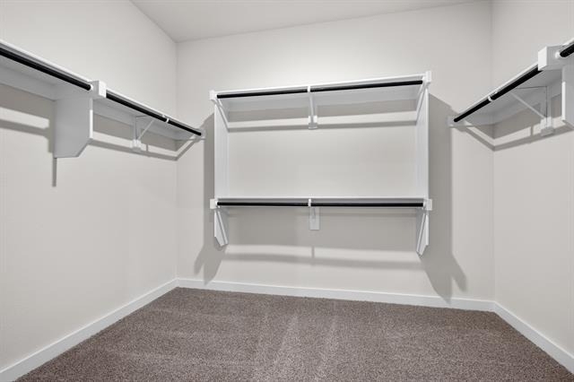 1707 Paul Drive - Photo 5